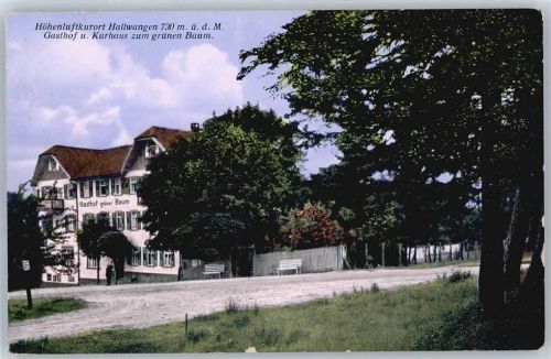 Hallwangen Gasthaus zum grünen Baum