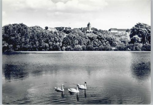 Allstedt Schloß, Schwan