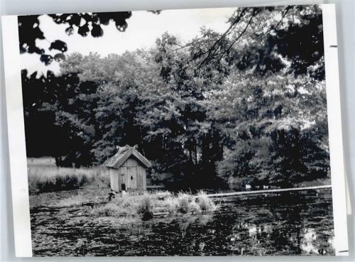 Armsen Foto mit Negativ