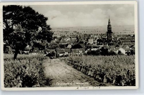 Grünstadt