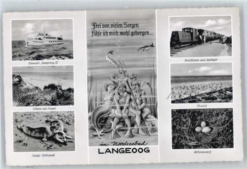 Langeoog Schiff, Inselbahn, Strand, Seehund