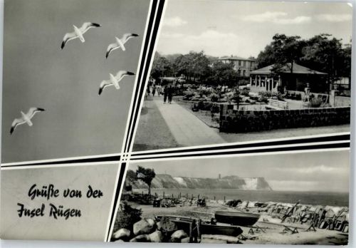 Rügen Möwen, Küste, Park