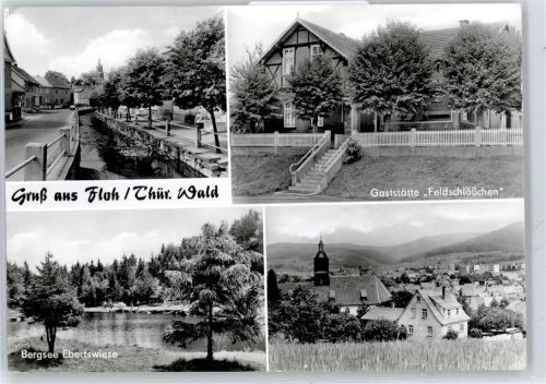 98593 O6084 Floh - Teilansicht, Gesamtansicht, Bergsee Ebertswiese, Gaststätte Feldschlösschen