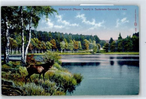 Bad Suderode Silberteich