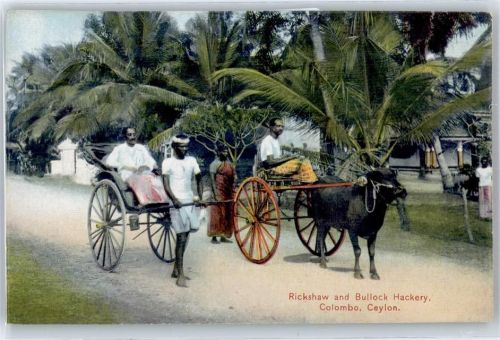 Rickshaw, Bullock Hackery, Colombo, Ceylon