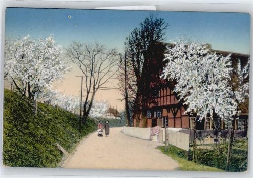 Alteland Frühlingsstimmung