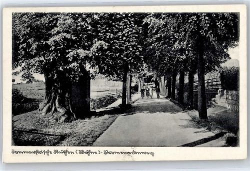 Rüthen Allee