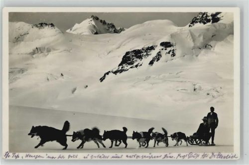 1928 Polarhunde auf d. Aletschgletscher Wehrli Foto AK Schweiz