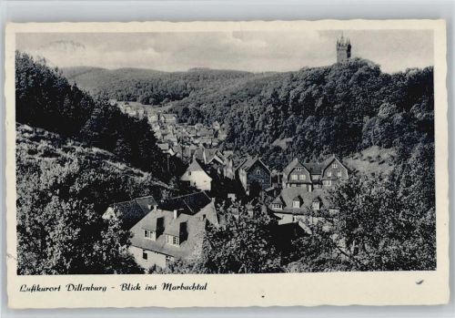 Dillenburg Marbachtal Wilhelmsturm