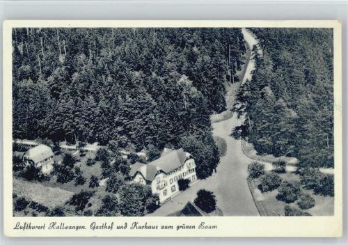 Hallwangen Gasthof Kurhaus zum grünen Baum