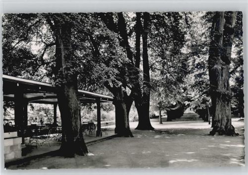Braunfels Lindenallee Herrengarten