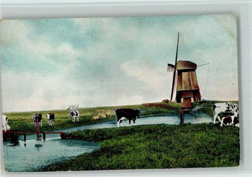 ca 1900 - Mühle, Kühe