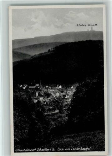 61389 W6384 Schmitten , Taunus - Blick vom Leistenbachtal