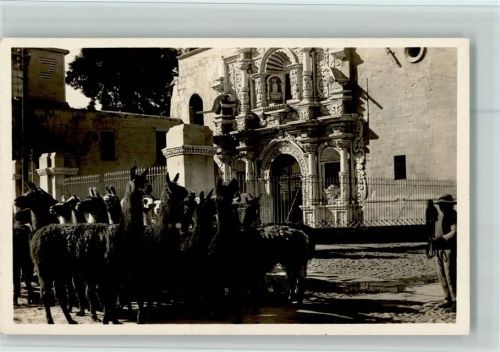 Lamas vor einem Haus, ca 1936 AK