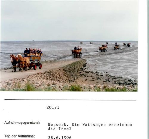 20095 W2191 Hamburg-Insel Neuwerk FOTO KEINE AK Foto montiert auf Karton Wattwagen erreichen Insel