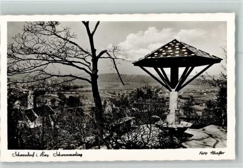Schwandorf Schwammerling Foto Schaffer
