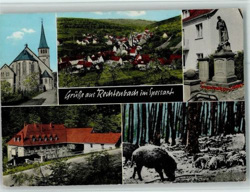 Rechtenbach Ortsansichten Kirche Denkmal Wildschwein mit Frischlingen