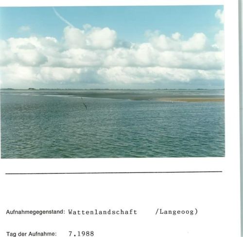 Langeoog Wattenlandschaft Foto montiert auf Karton