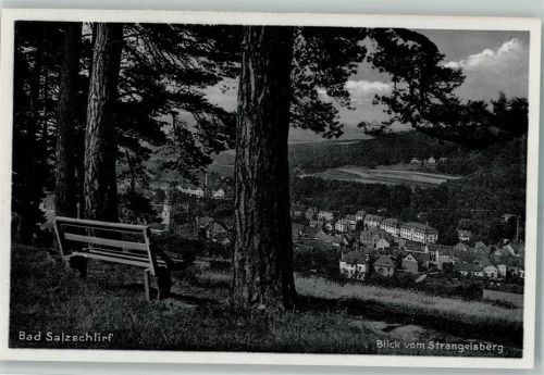 Bad Salzschlirf Blick vom Strangelsberg auf Bad Salzschlirf Teilansicht