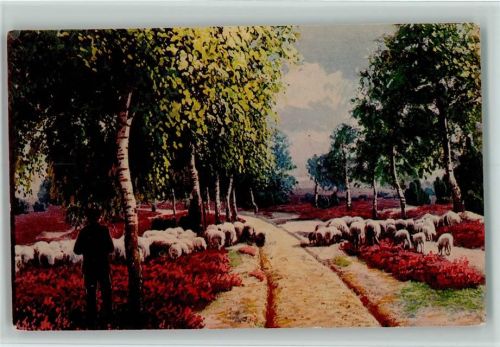 Schäfer und seine Herde - Lüneburger Heide - Nordwestd. Kunstverlag Serie 2302 Blühende Heide Schaf