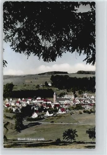 Elzach 1961 Teichansicht