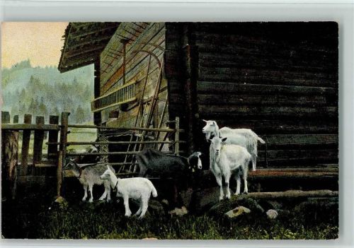1918 auf dem Bauernhof oder Alm AK