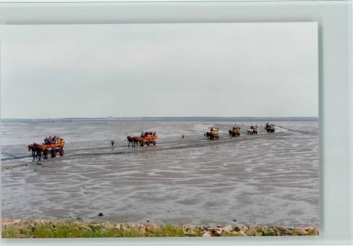 Hamburg-Insel Neuwerk Wattwagen