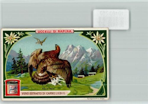 Raubvogel holt sich ein Schaf , Sammelbild Liebig