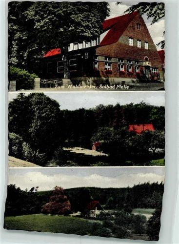 49324 W4520 Melle , Wiehengeb - Gasthaus Zum Waldmeister Scan verzogen