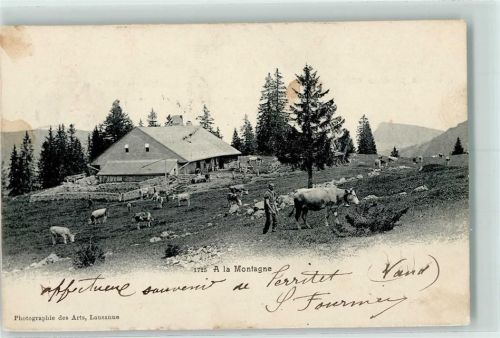 Territet 1904 A la Montagne