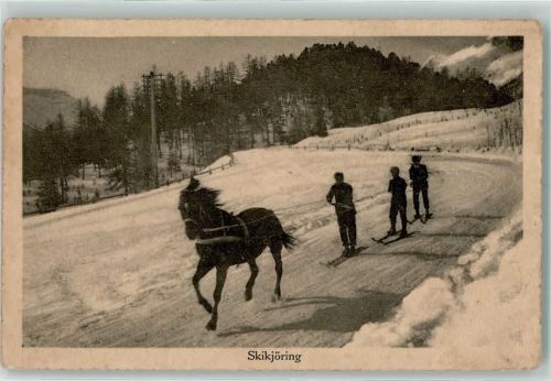 1914 Skikjöring - AK