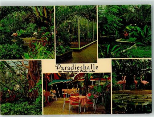 Walsrode Vogelpark Paradieshalle