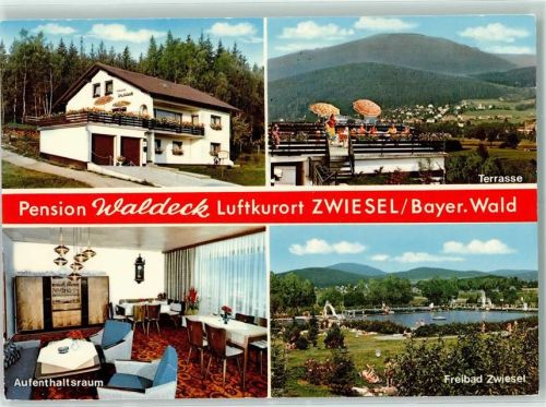 Zwiesel Pension Waldeck Schwimmbad