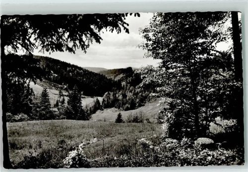 Grafengehaig Partie im Rehbachtal