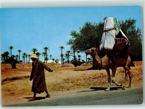 Djerba La Johfa