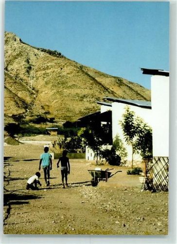 Palmari