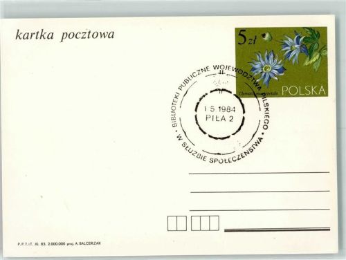 Schneidemühl Bblioteki publiczne wojewodztwa pilskiego w sluzbie spoleczenstwa Clematis macropetala