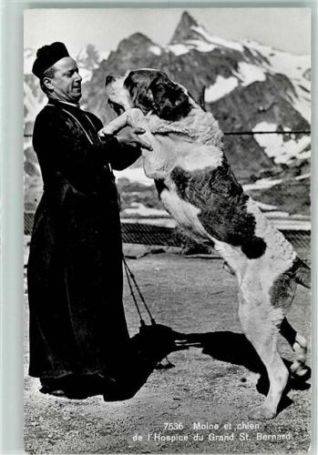 Hospiz Großer Sankt Bernhard Pass 1959 Hospice du Grand St. Bernhard AK