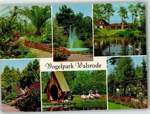 Walsrode Vogelpark Flamingo Springbrunnen Tropenhaus