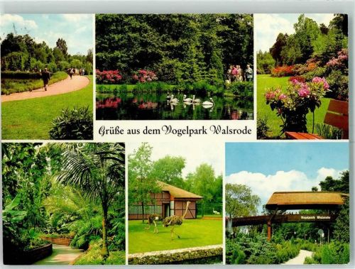 29664 W3030 Walsrode - Vogelpark Parkanlagen