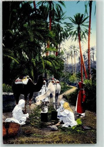 Lehnert & Landrock Nr. 641 AK Campement arabe dans Oasis