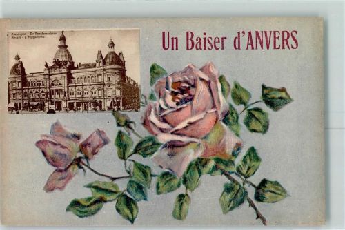 Antwerpen Hippodrome Rose