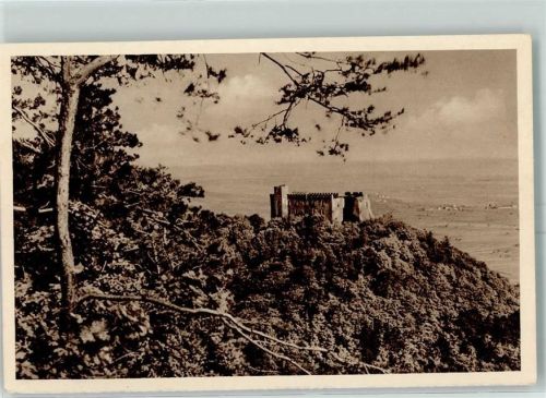 Neustadt Ganzsache Bild 141 Hambacher Schloß