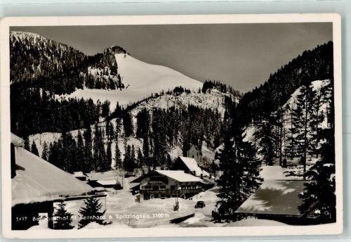 83727 W8162 Spitzingsee - Gasthaus St. Bernhard Winter