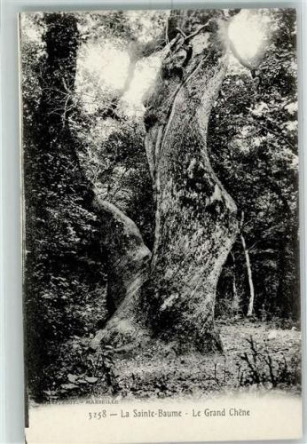 Plan-d'Aups-Sainte-Baume Le Grand Chene AK