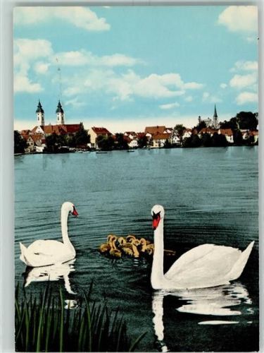Bad Waldsee Waldsee Schwäne und Küken