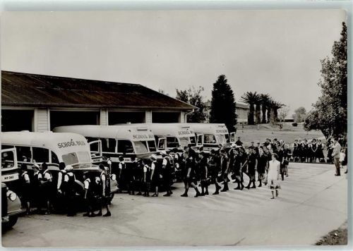 Matata School Bus