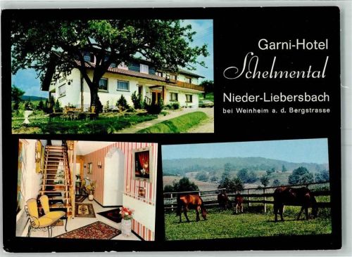 Nieder-Liebersbach Hotel Schelmental Pferdekoppel