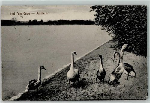 Arendsee