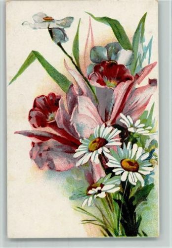 1918 Sommerblumen, Margeriten AK
